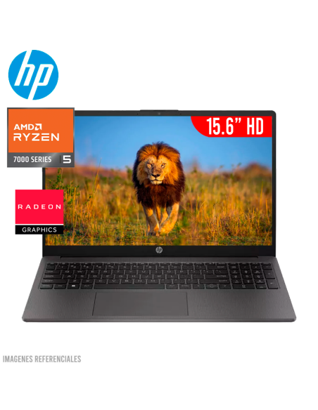 LAPTOP HP 255 G10