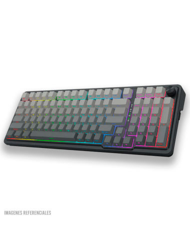 TECLADO GAMER REDRAGON EISA PRO...