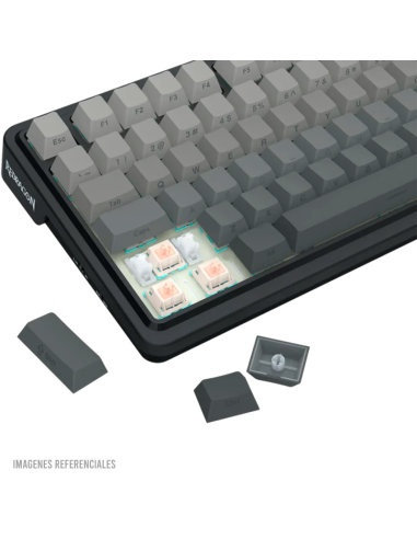 TECLADO GAMER REDRAGON EISA PRO...