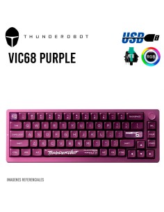 TECLADO GAMER THUNDEROBOT VIC68