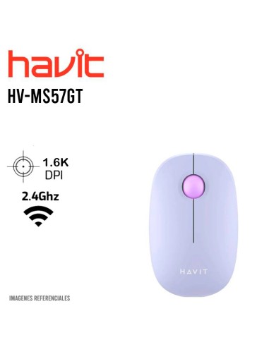 MOUSE HAVIT