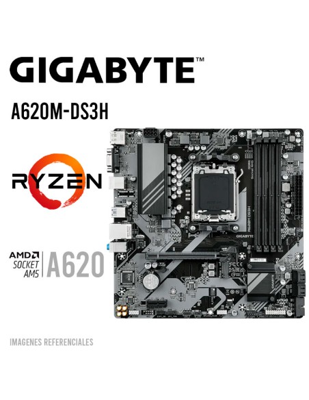 MAINBOARD GIGABYTE A620M DS3H
