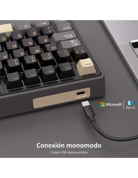 TECLADO GAMER ROYAL KLUDGE ( RK R75) PHANTOM| SILVER SWITCH| CABLEADO | LED-RGB