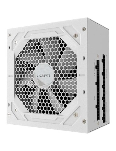 FUENTE DE PODER GIGABYTE 750W ICE V2...
