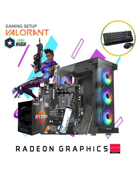 SETUP GAMER VALORANT RYZEN 5 5600GT 16GB 500GB SSD + KIT RAPTOR