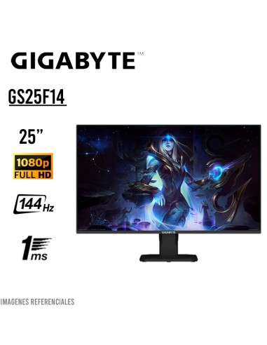 Monitor GigaByte GS25F14