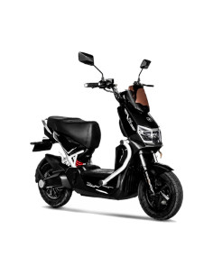 MOTO ELECTRICA MOTIONX TURBO F01 2