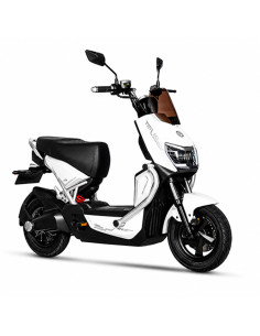 MOTO ELECTRICA MOTIONX TURBO F01 2