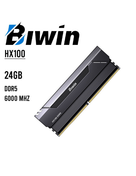 MEMORIA RAM BIWIN HX100