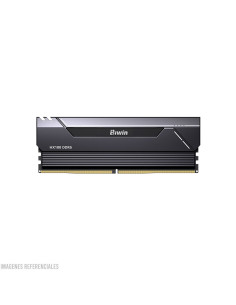 MEMORIA RAM BIWIN HX100 2