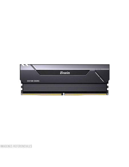 MEMORIA RAM BIWIN HX100 24GB/6000MHZ ( BXH52460HX1-D30FB )