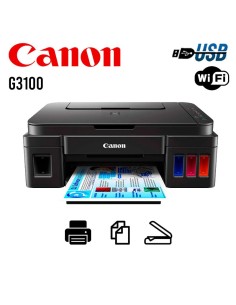 g 3100