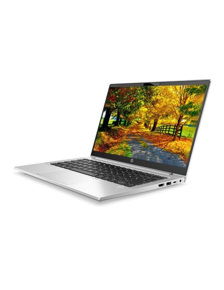 LAPTOP HP PROBOOK 445 G10 RYZEN 7-7730U 16GB 512GB SSD 14 FHD WINDOWS 11 PRO (9S640LA-ABM)