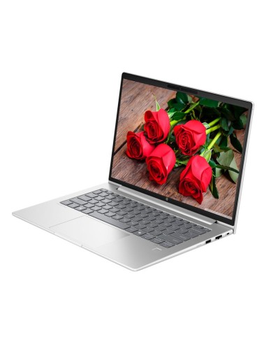 LAPTOP HP PROBOOK 440 G11 CORE ULTRA 5-125U...