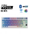 TECLADO GAMER ROYAL KLUDGE