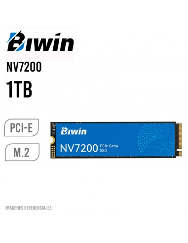 DISCO SOLIDO SSD BIWIN