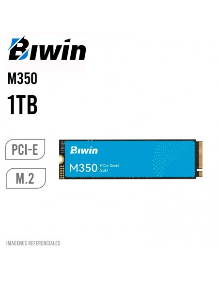 DISCO SOLIDO SSD BIWIN