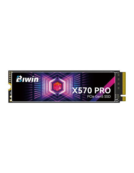 DISCO SOLIDO SSD BIWIN 2TB X570 PRO ( BX570DN02TB-RGX ) PCIE | NVME | GEN5