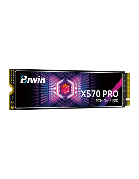 DISCO SOLIDO SSD BIWIN 2TB X570 PRO ( BX570DN02TB-RGX ) PCIE | NVME | GEN5