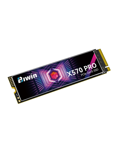 DISCO SOLIDO SSD BIWIN 2TB X570 PRO (...